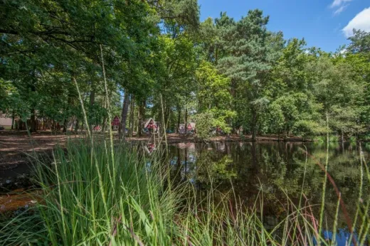 Mooie groene omgeving