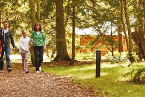 Darwin Forest