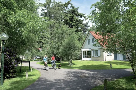 De Vlegge