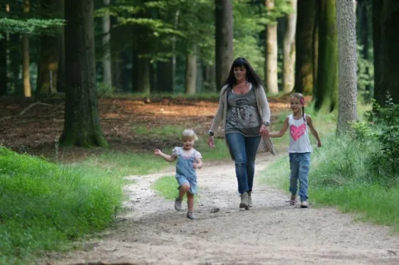 de Hooge Veluwe