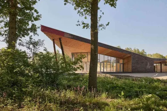 Forest Resort Your Nature