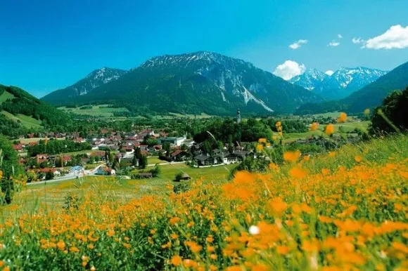 De omgeving van Bayernpark Ruhpolding 