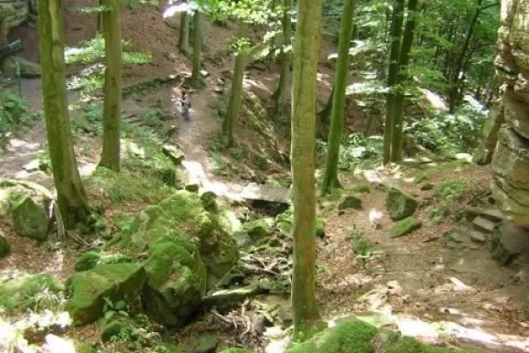 Het bosrijke Luxemburg