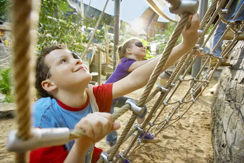 8. Center Parcs De Vossemeren