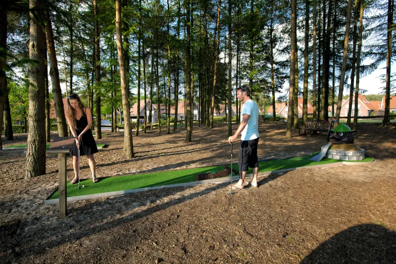 6. Landal Dwergter Sand - Unieke ligging