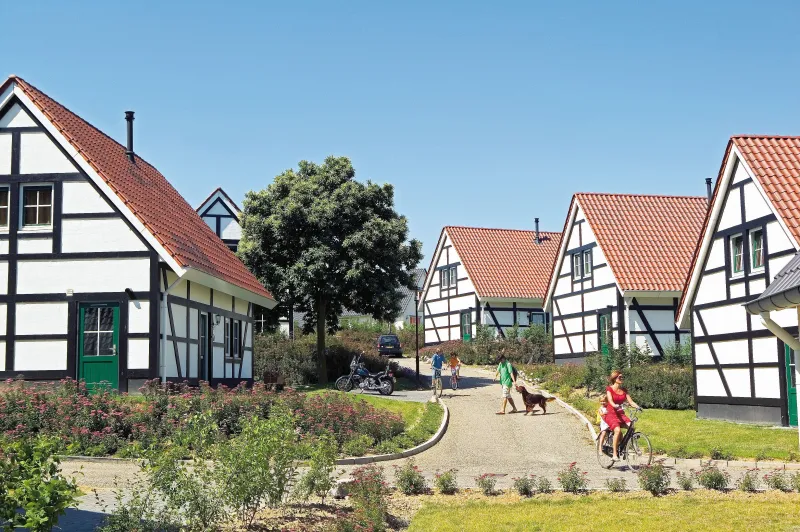 7. Landal Kasteeldomein De Cauberg - Luxe in Valkenburg