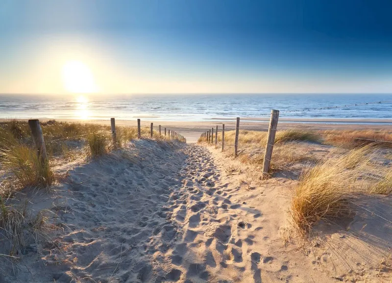 1. Landal Strand Resort Ouddorp Duin